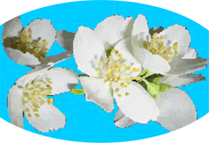 AMBIENTADOR TARRITO LJAZMÍN