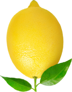 AMBIENTADOR TARRITO LIMÓN