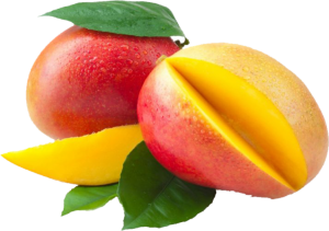 AMBIENTADOR TARRITO MANGO