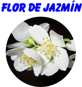 AROMA FLOR DE JAZMÍN