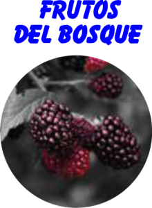 AROMA FRUTOS DEL BOSQUE